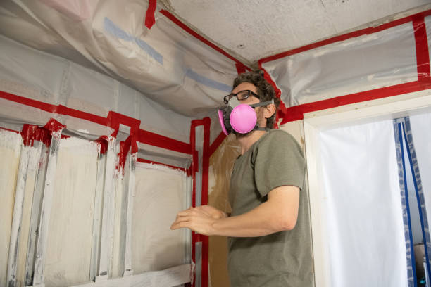 Best Indoor Air Quality Assessment  in Oelwein, IA