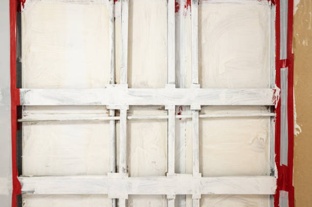 Best Emergency Mold Remediation  in Oelwein, IA